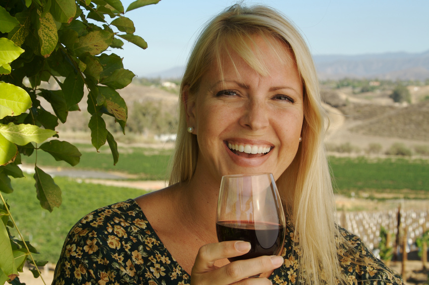 Temecula Vineyard & Winery Tours